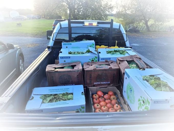 Pick-up rempli de boîtes de légumes frais pour la distribution